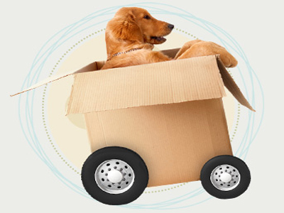 Movers Packers Service In Noida